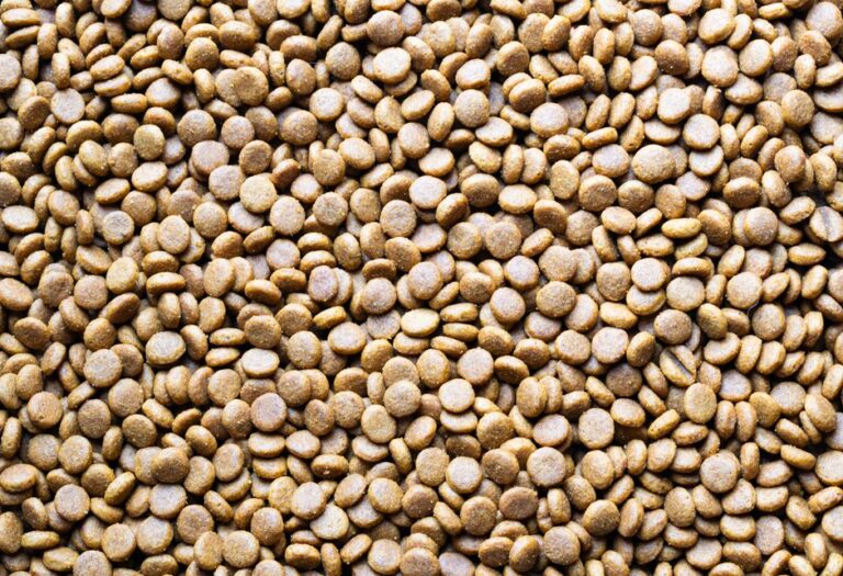 A detailed macro shot of scattered dog food pellets, perfect for pet care themes.