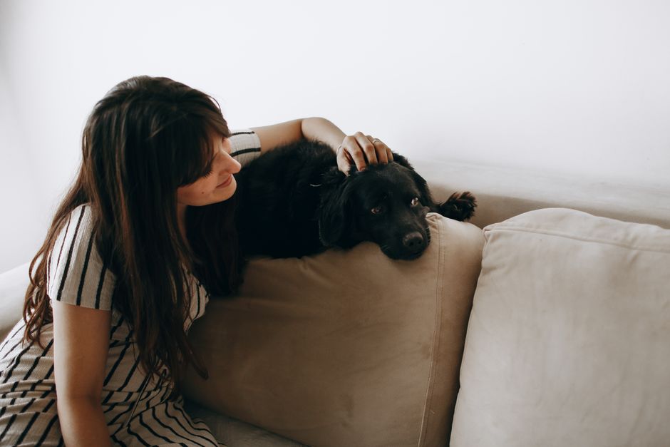 A woman gently pets her black dog on a beige sofa, creating a cozy indoor scene.