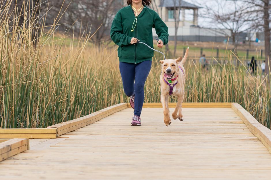 A woman jogging with her happy dog on a scenic outdoor path.