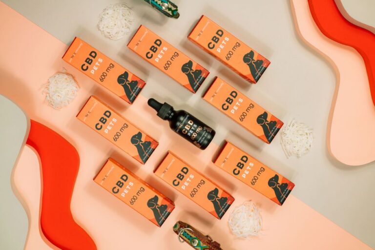 Vibrant flat lay of CBD pet products arranged creatively with colorful background in Mexico City.
