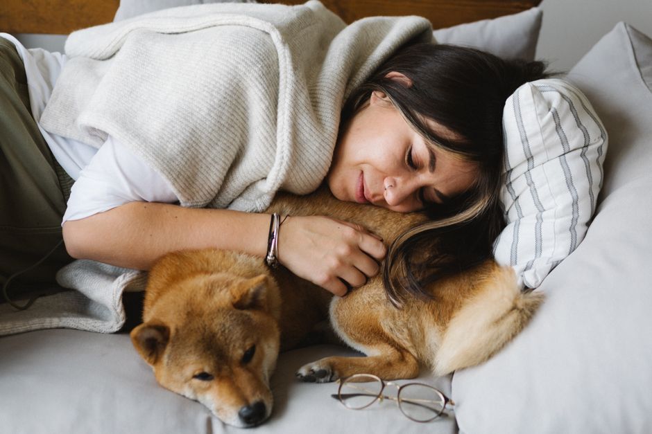 Relaxed young female wearing casual clothes hugging cute obedient Shiba Inu dog while resting together on comfortable sofa